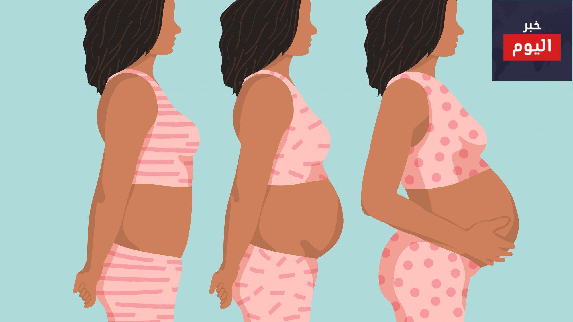 مراحل الحمل - حملكِ أسبوعاً بعد أسبوع - Your pregnancy week by week