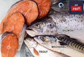 هل الأسماك الزيتية غنية بالأوميغا 3؟ – Oily fish: Rich in Omega 3?