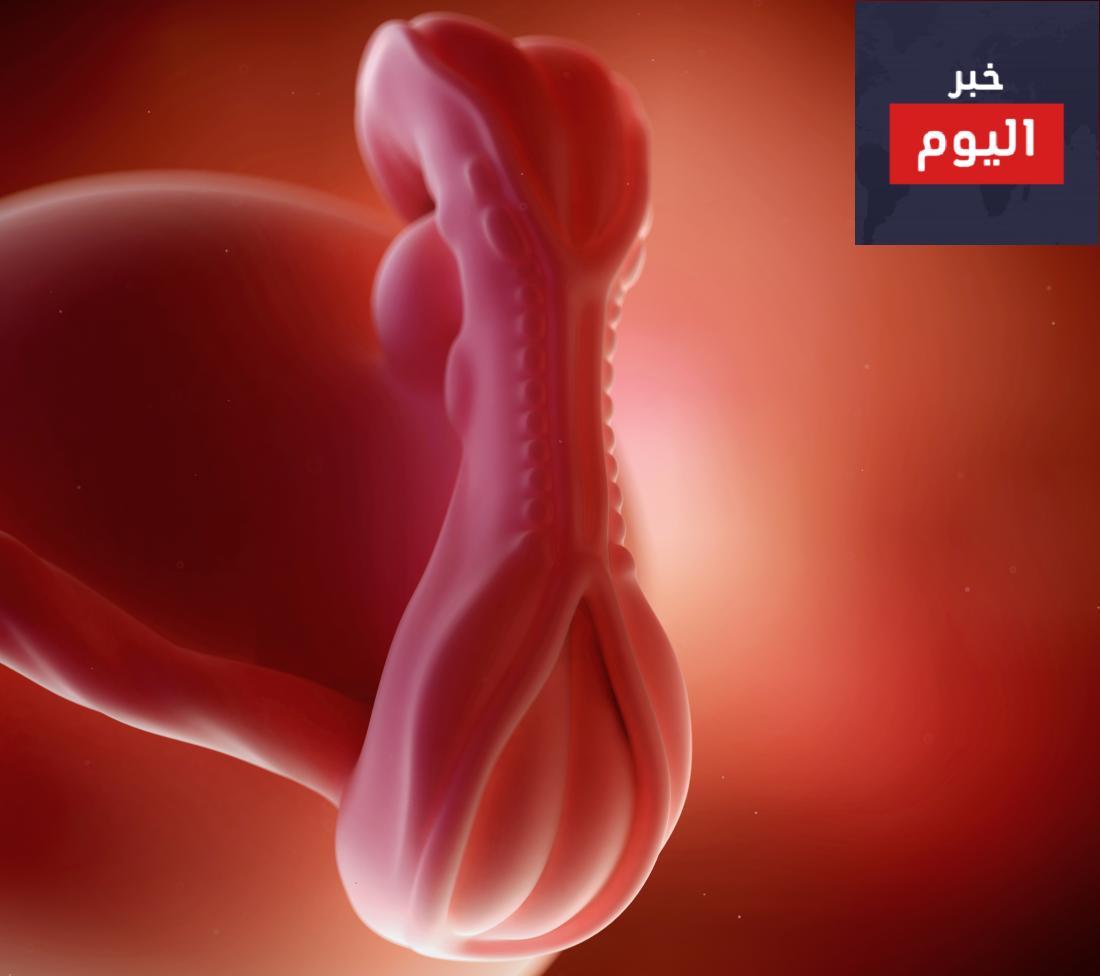 الحمل في الشهور الأولى - أنتِ وطفلكِ في الثمانية أسابيع الأولى - You and your baby at 0-8 weeks pregnant