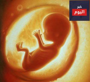ماهي فائدة السائل الأمينوسي الذي يحيط بالجنين؟