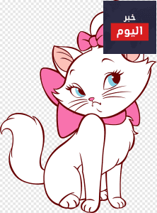 القطة ميكي