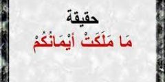 تفسير اية وما ملكت ايمانكم