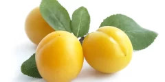 بوضة بالبرقوق الأصفر