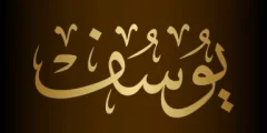 اين ولد سيدنا يوسف