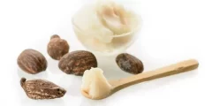 طريقة حفظ زبدة الشيا