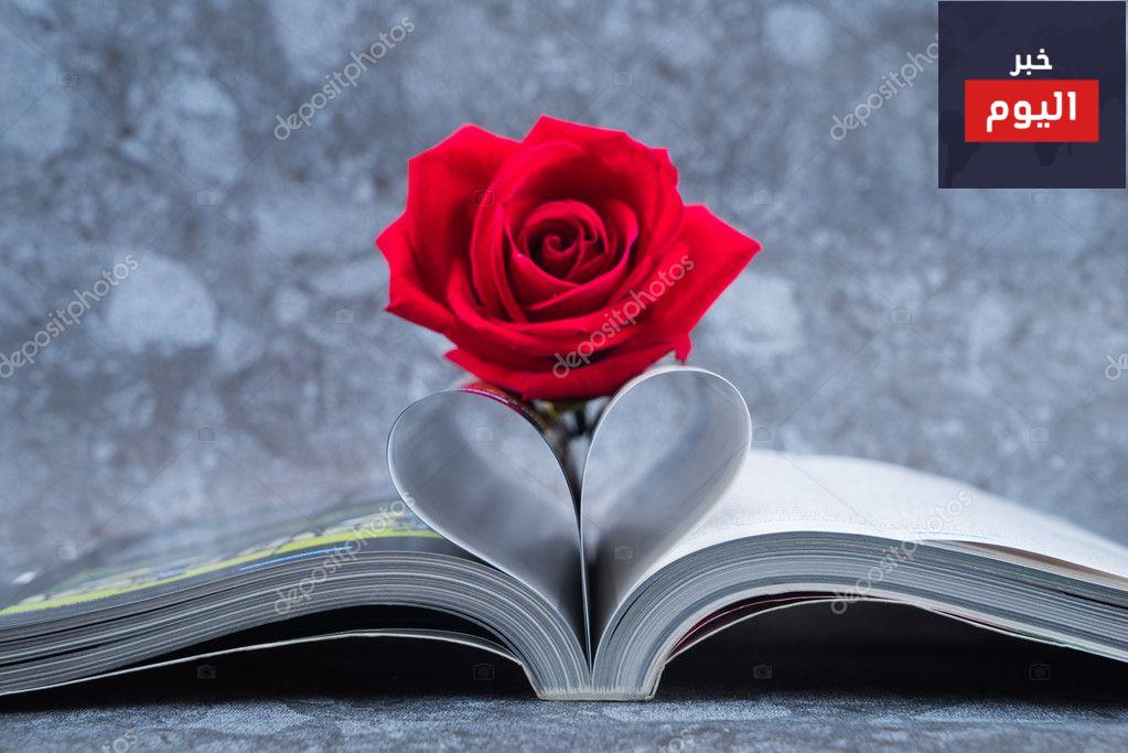 شعر عن الحب الحقيقي