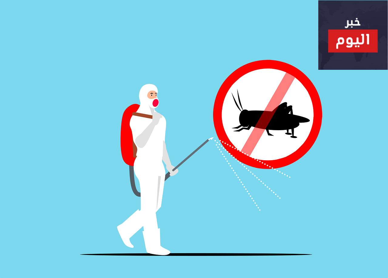 التخلص من رائحة المبيدات في المنزل