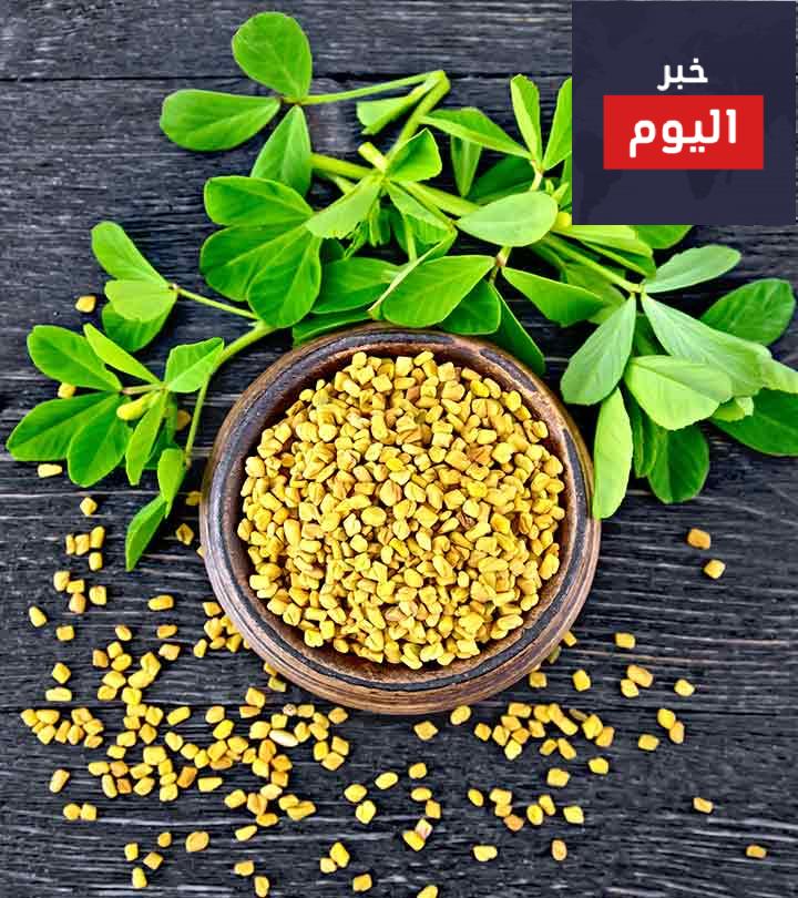الياغورت، الحلبة و العسل لتقوية الشعر