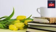 حكم وعبر قصيرة