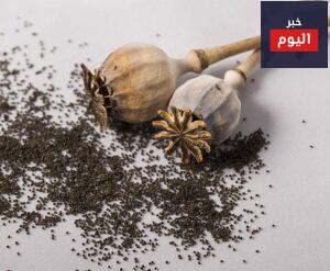 فوائد بذور الخشخاش