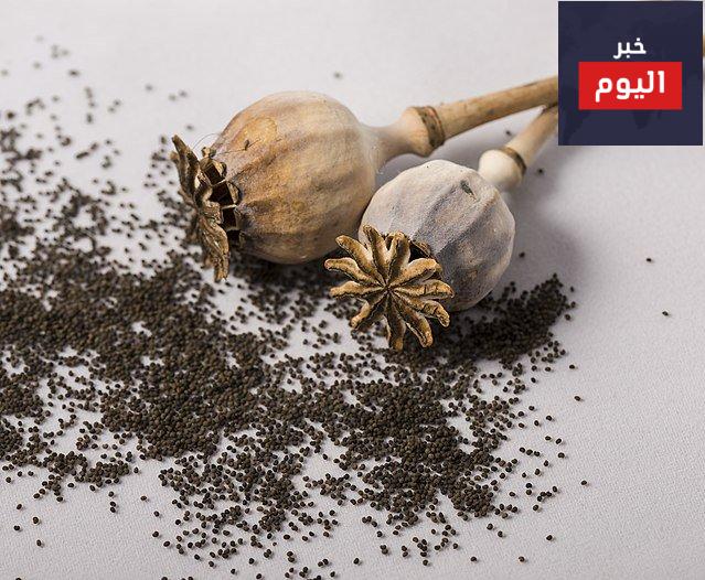 فوائد بذور الخشخاش