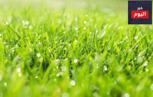 عبارات في الحياة