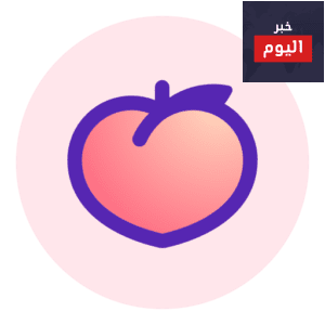 كل ما ترغب بمعرفته حول شبكة Peach الاجتماعية