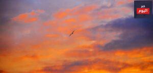 كلمات حزينة عن الوطن