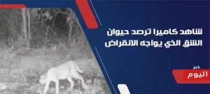 حيوان الشق الذي يواجه الانقراض