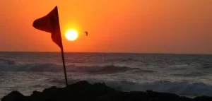 كلمات رائعة عن فلسطين