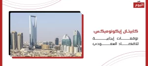 كابيتال إيكونوميكس