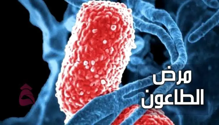 نبذة عن Plague epidemic مرض الطاعون