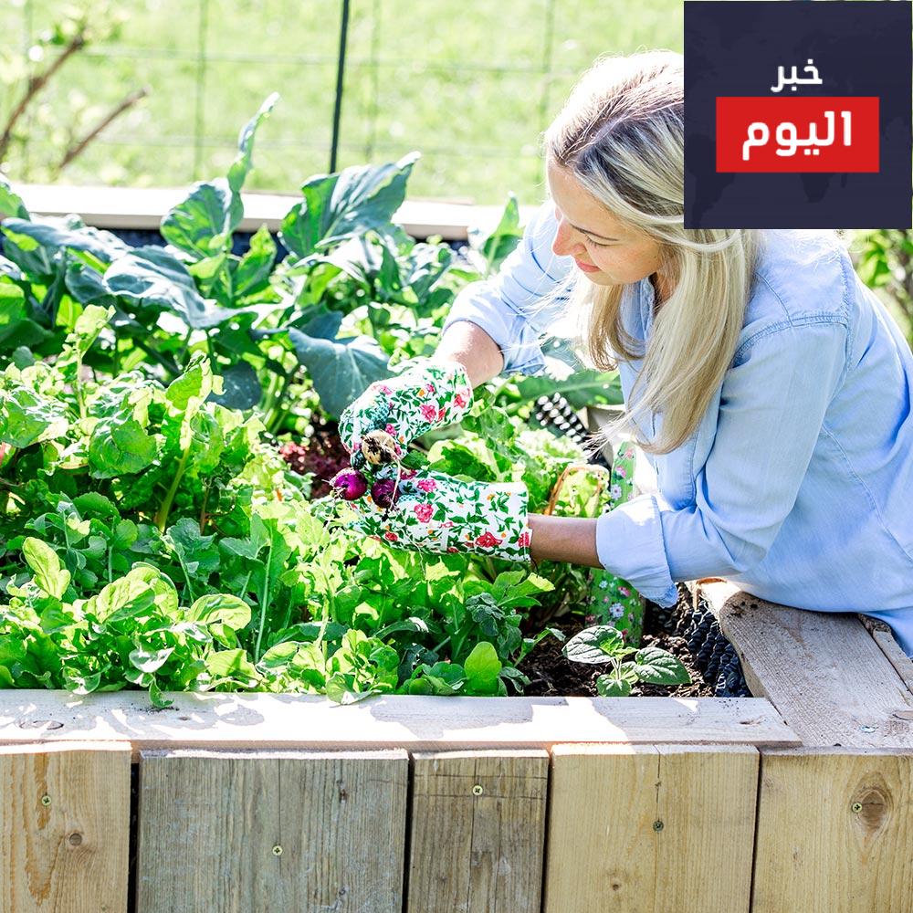 أداة تستخدم لقلع الأعشاب من أرض الحديقة هي
