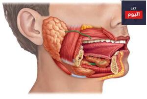 تمتاز الغدد اللعابية عن غيرها من الغدد بأنها