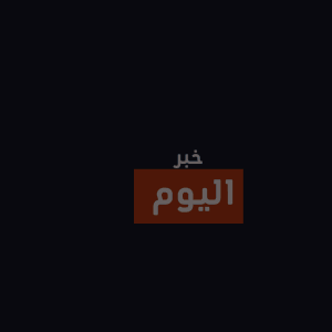 طريقة عمل برياني الدجاج مثل المطاعم