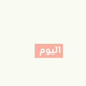 طريقة عمل كفتة الدجاج