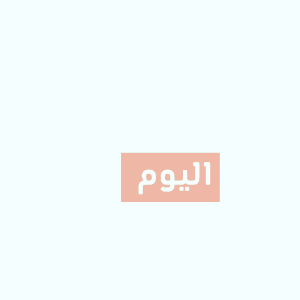طريقة عمل كفتة الدجاج