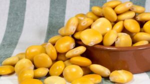 طريقة نقع الترمس المر