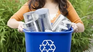 طرق التخلص من النفايات المنزلية