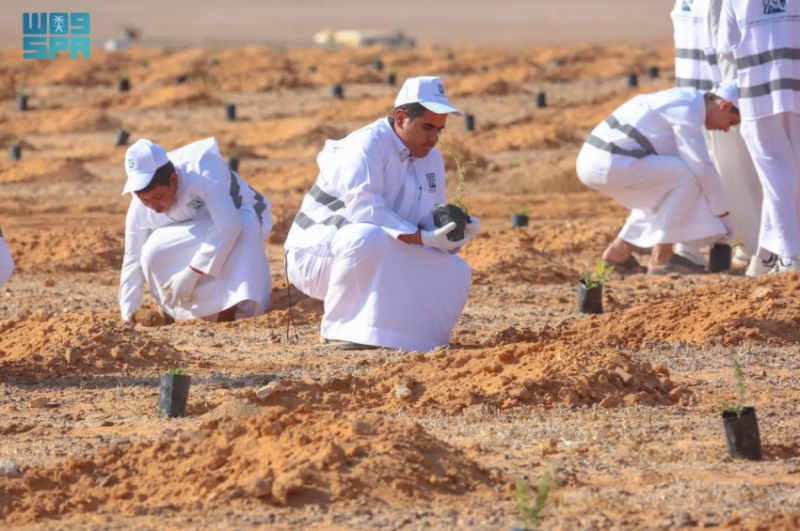 هيئة تطوير محمية الملك سلمان الملكية تنظم مبادرة لزراعة 3000 شتلة 2 هيئة تطوير محمية الملك سلمان الملكية تنظم مبادرة لزراعة 3000 شتلة